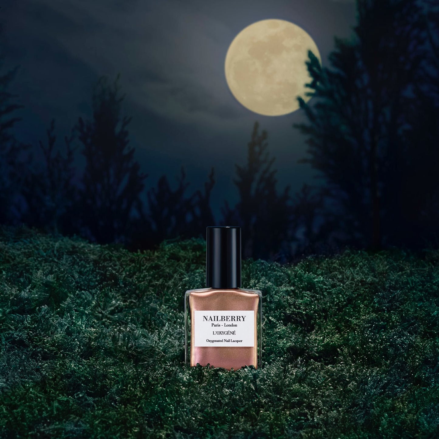 Nailberry Neglelak | Stargazer