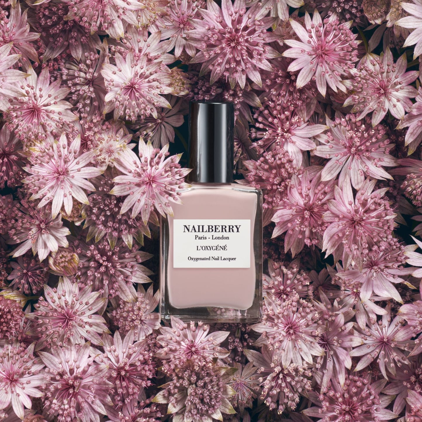 Nailberry Neglelak | Mystere